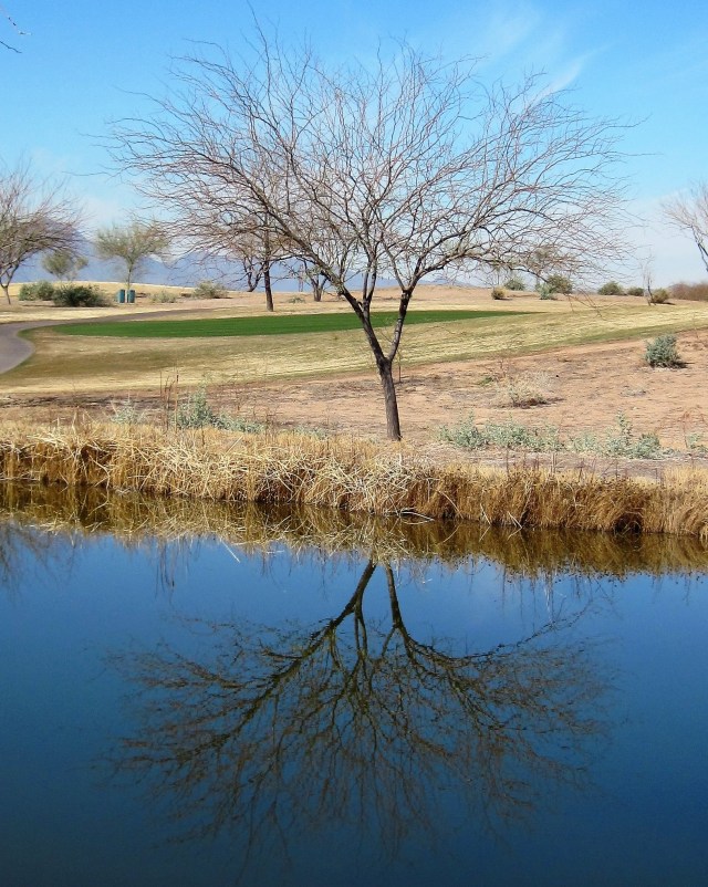 Reflection - Phoenix, Arizona, 2011
